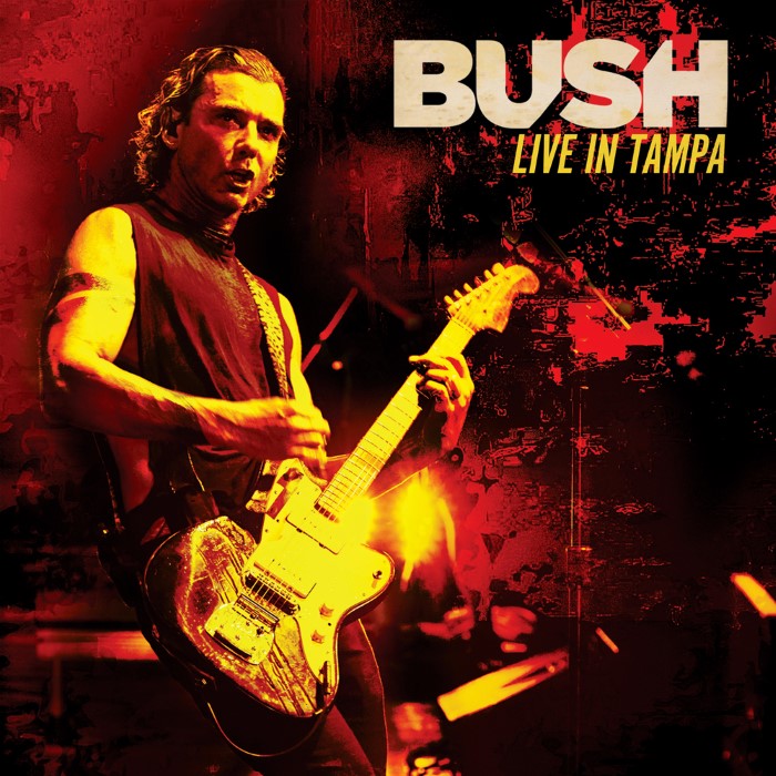 Live In Tampa