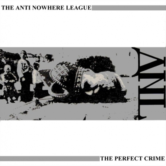 The Perfect Crime