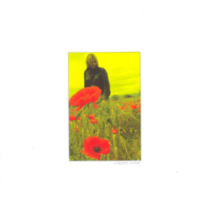 In The Poppy Fields: Five [Coming Home]