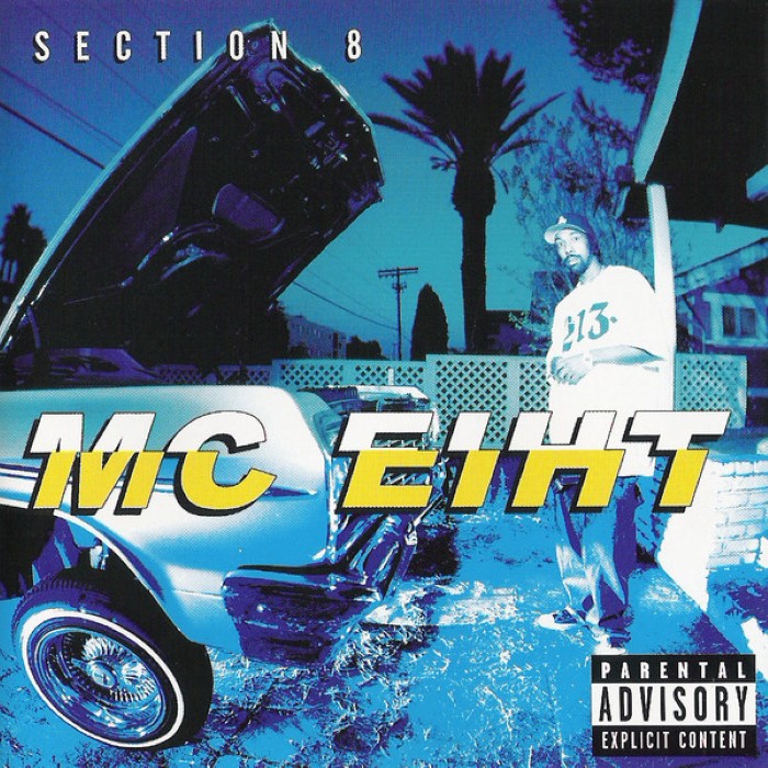 Section 8