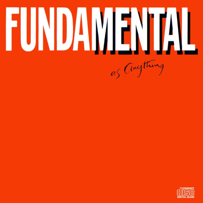 Fundamental as Anything