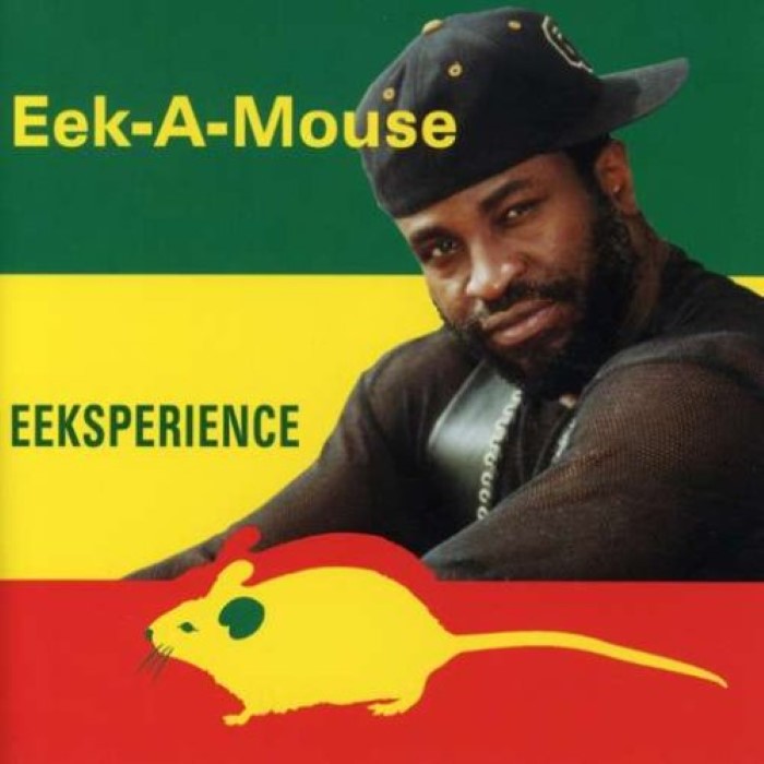 Eeksperience