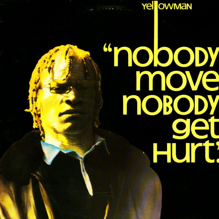 Nobody Move Nobody Get Hurt