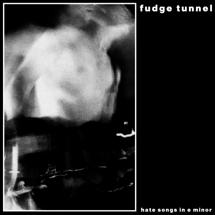 Hate Songs in E Minor by Fudge Tunnel