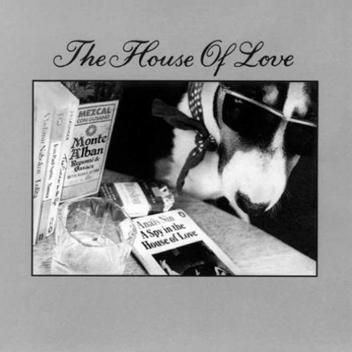 A Spy in the House of Love