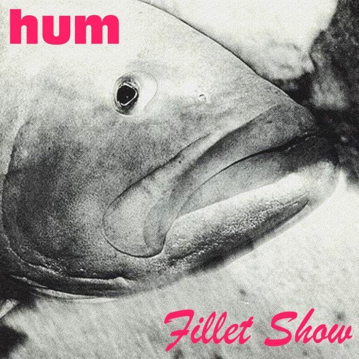 Fillet Show by Hum