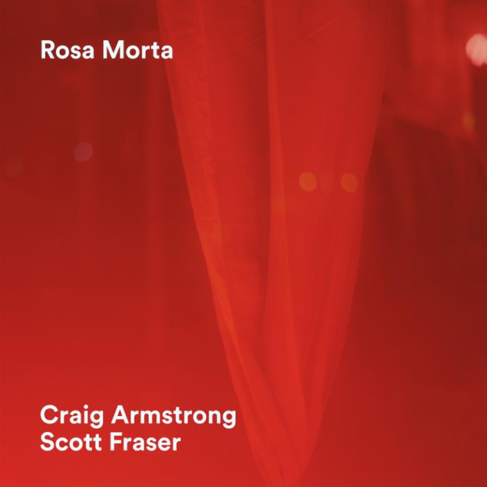 Rosa Morta