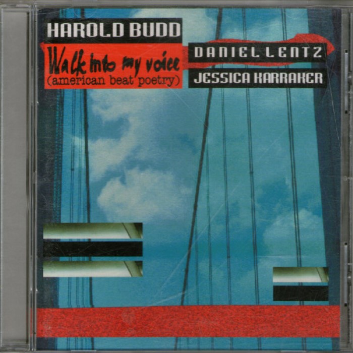 Walk Into My Voice (American Beat Poetry)