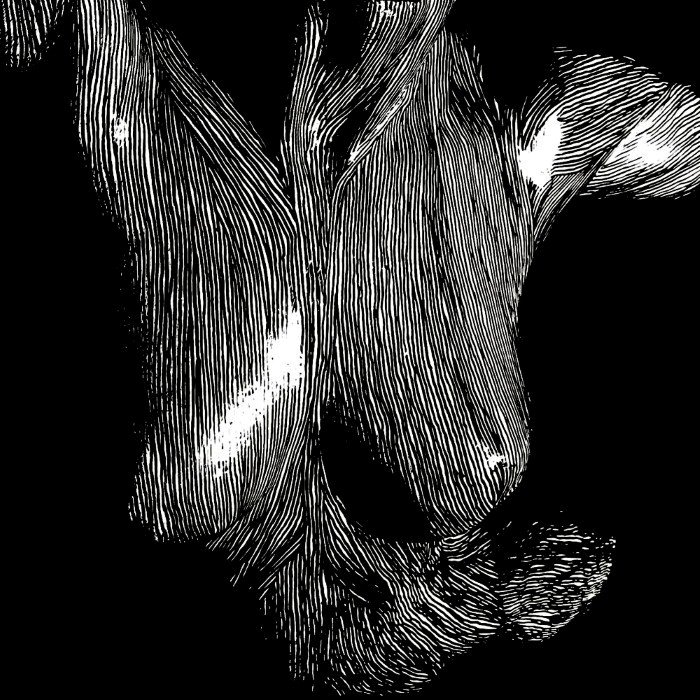 Self Preserved While the Bodies Float Up
