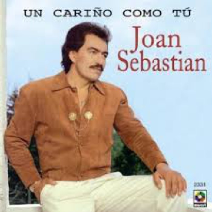 Un cariño como tú