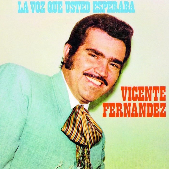 La voz que usted esperaba