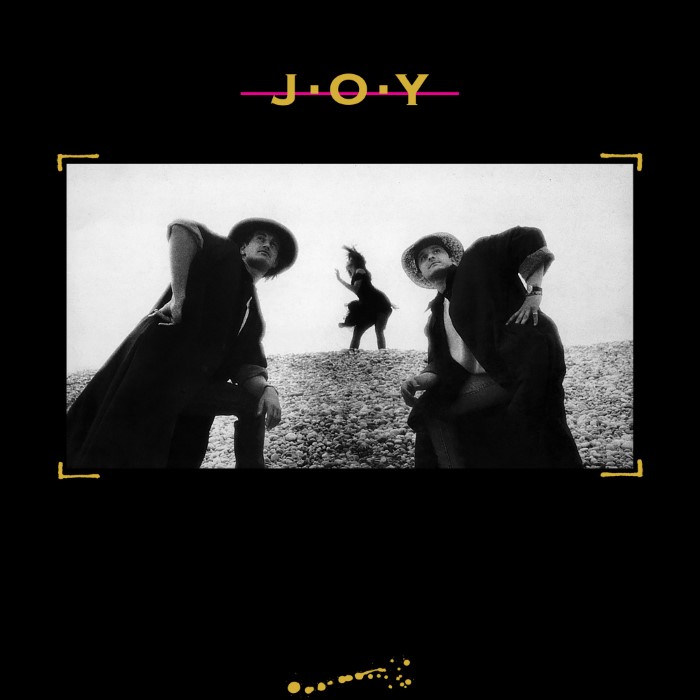 Joy