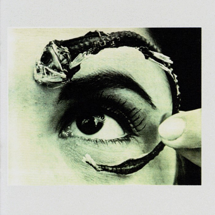Disco Volante by Mr. Bungle