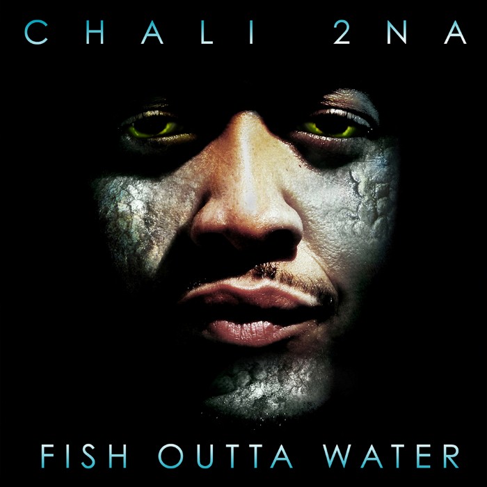 Fish Outta Water
