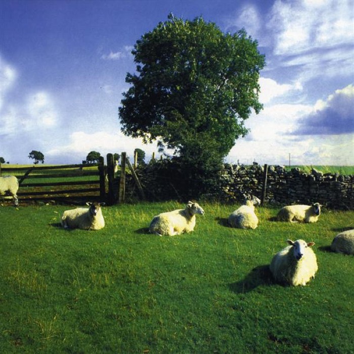 Chill Out by The KLF