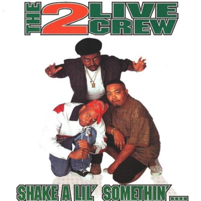 Shake a Lil' Somethin'