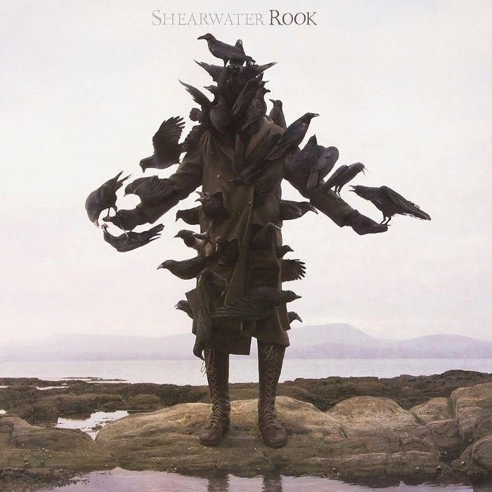 Rook