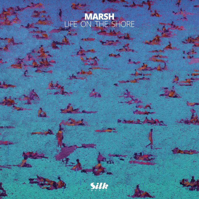 Life on the Shore