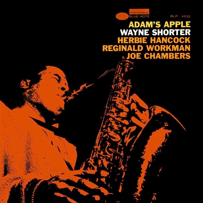 Adam's Apple