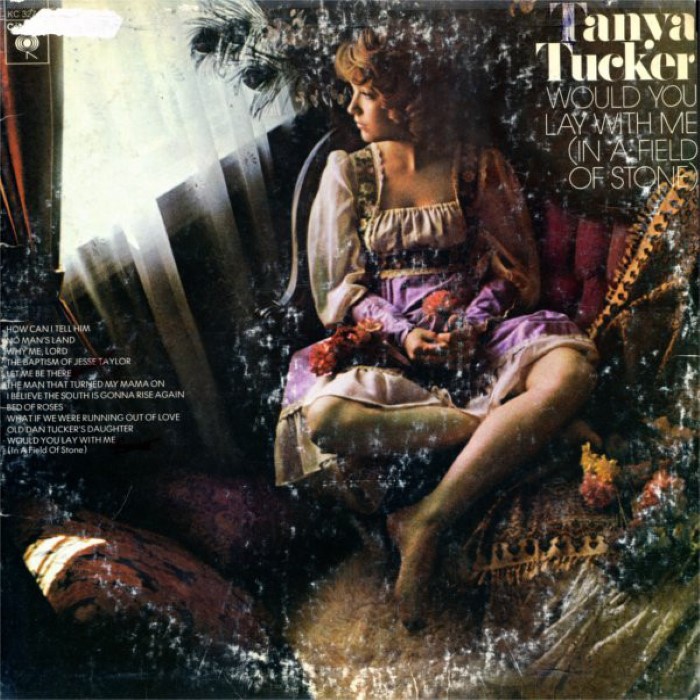 Would You Lay With Me (in a Field of Stone)