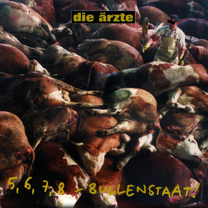 5, 6, 7, 8 - Bullenstaat!