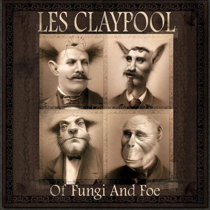 Of Fungi and Foe