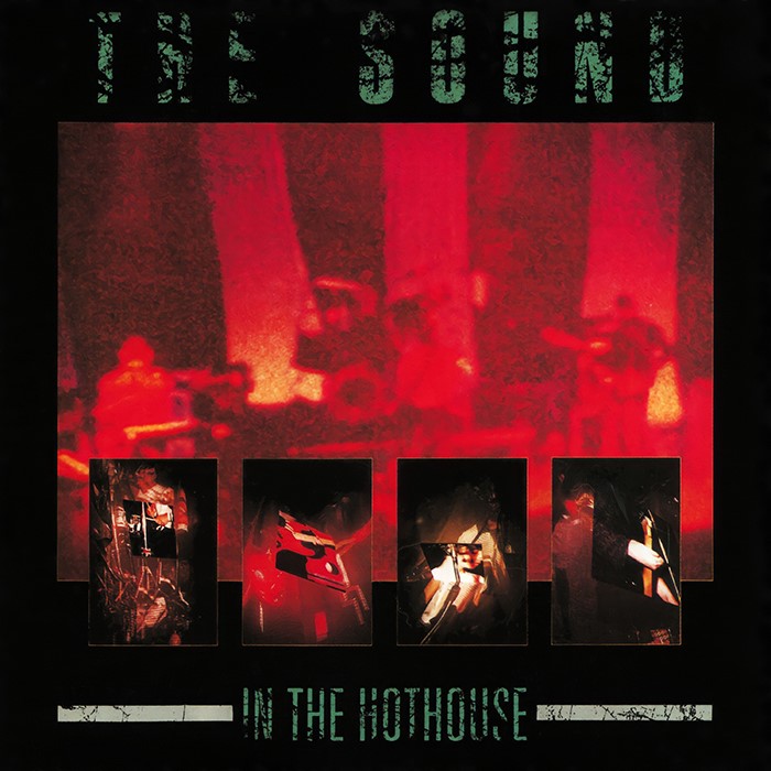 In the Hothouse