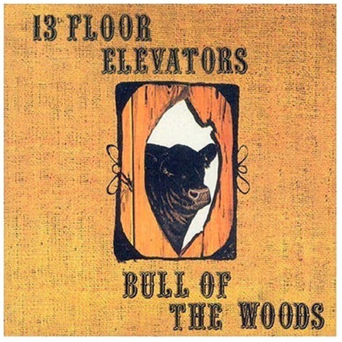 Bull of the Woods