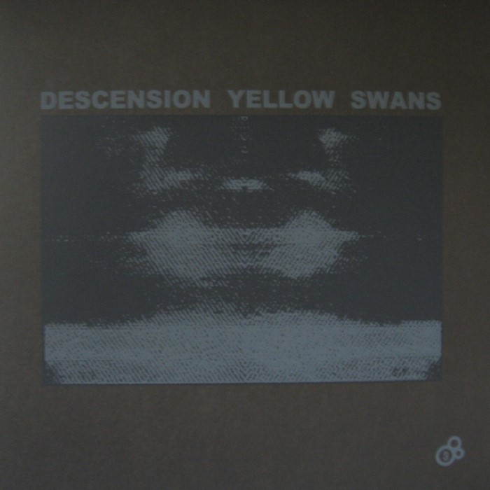 Descension Yellow Swans