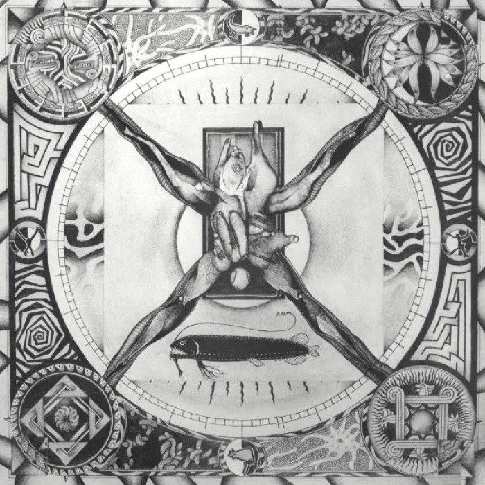A Missing Sense / Rasa
