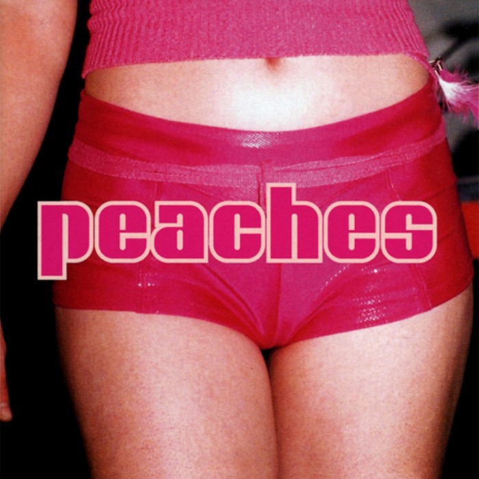 The Teaches of Peaches