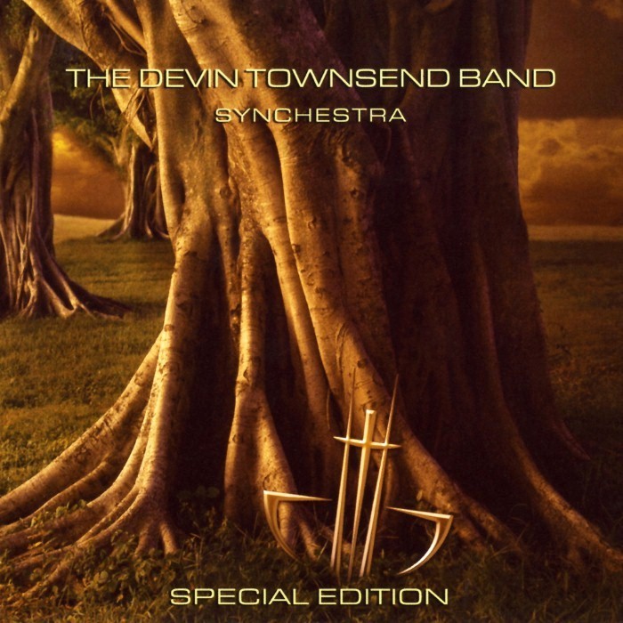 Synchestra