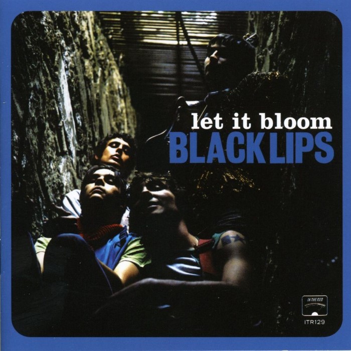 Let It Bloom