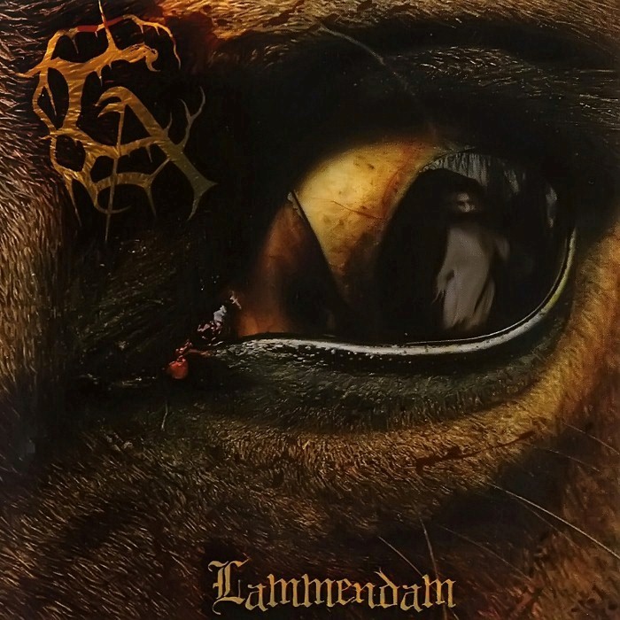 Lammendam