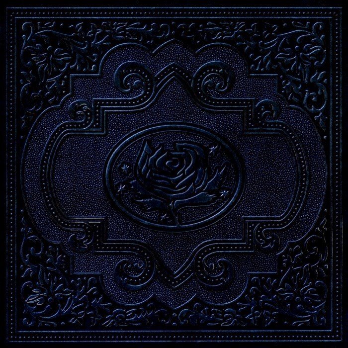 Cold Roses
