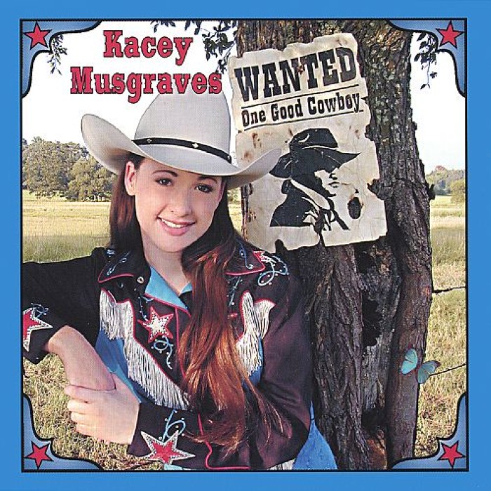 Wanted: One Good Cowboy