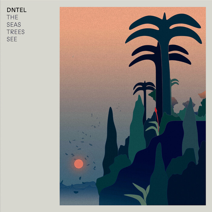 The Seas Trees See
