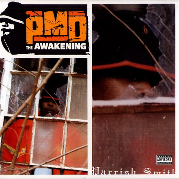 The Awakening