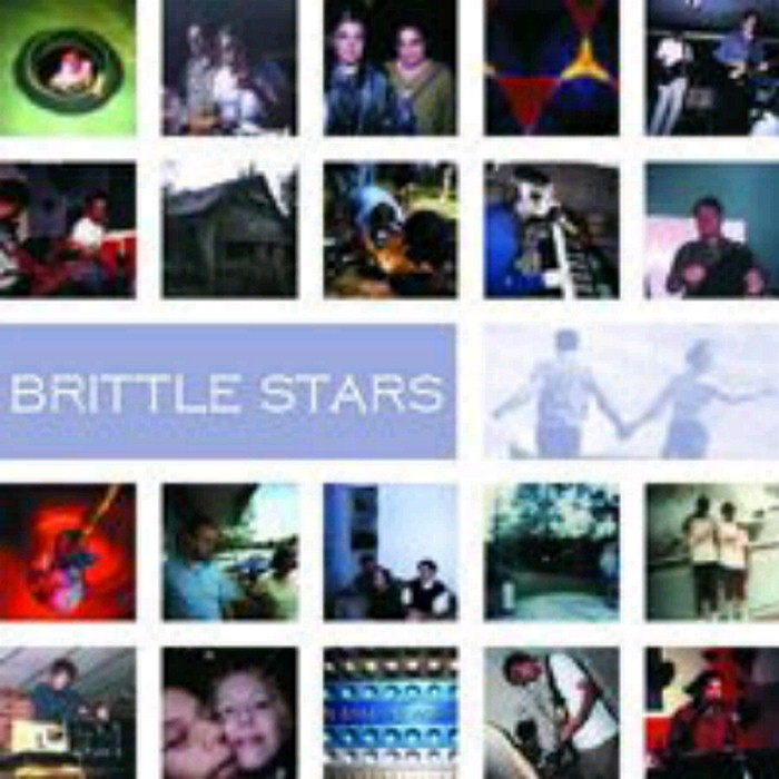 Brittle Stars