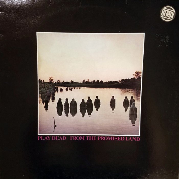 From the Promised Land