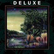 Tango in the Night (2017 Remaster) [Deluxe Edition]