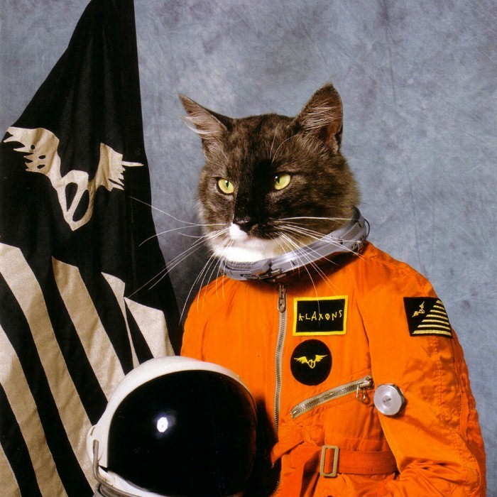 Surfing the Void