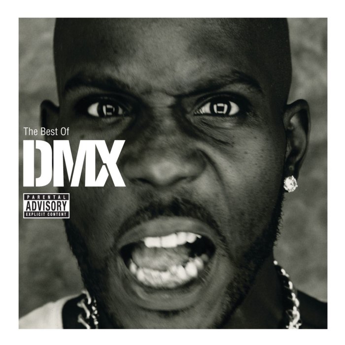 The Best of DMX by DMX