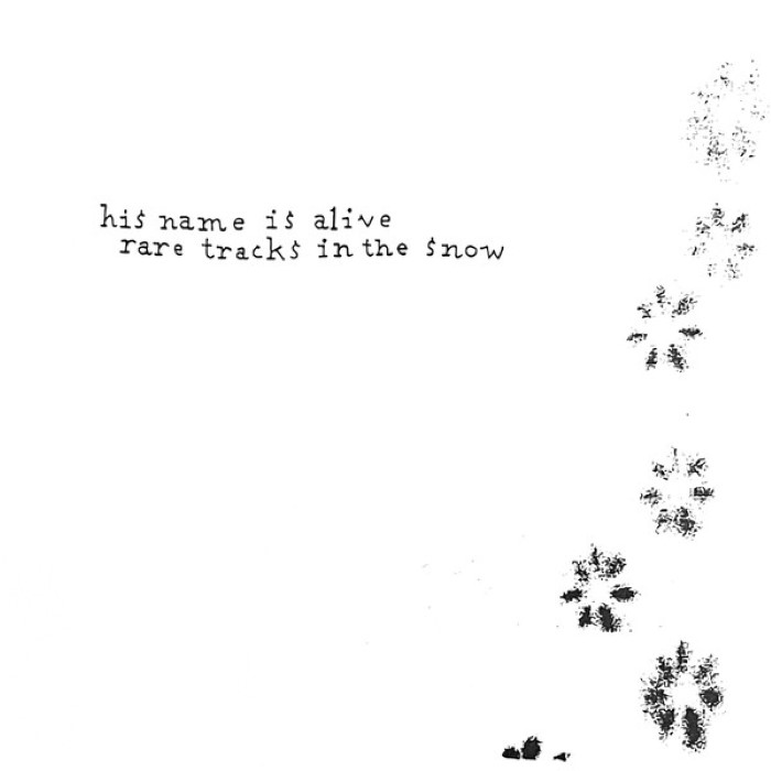 Rare Tracks in the Snow