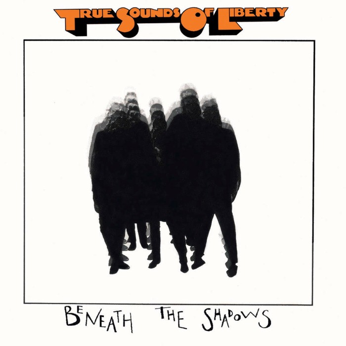 Beneath the Shadows