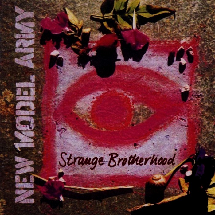 Strange Brotherhood