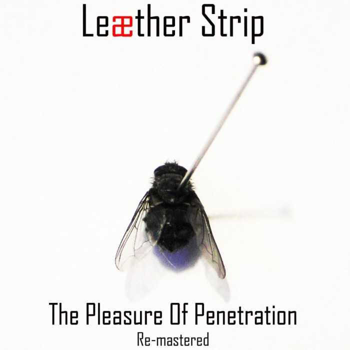 The Pleasure of Penetration