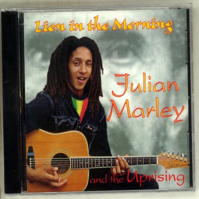 Lion In The Morning