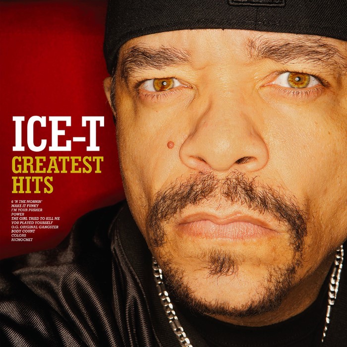 Greatest Hits: The Evidence by Ice‐T