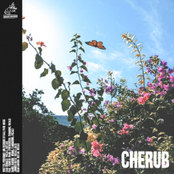 Cherub by Ball Park Music